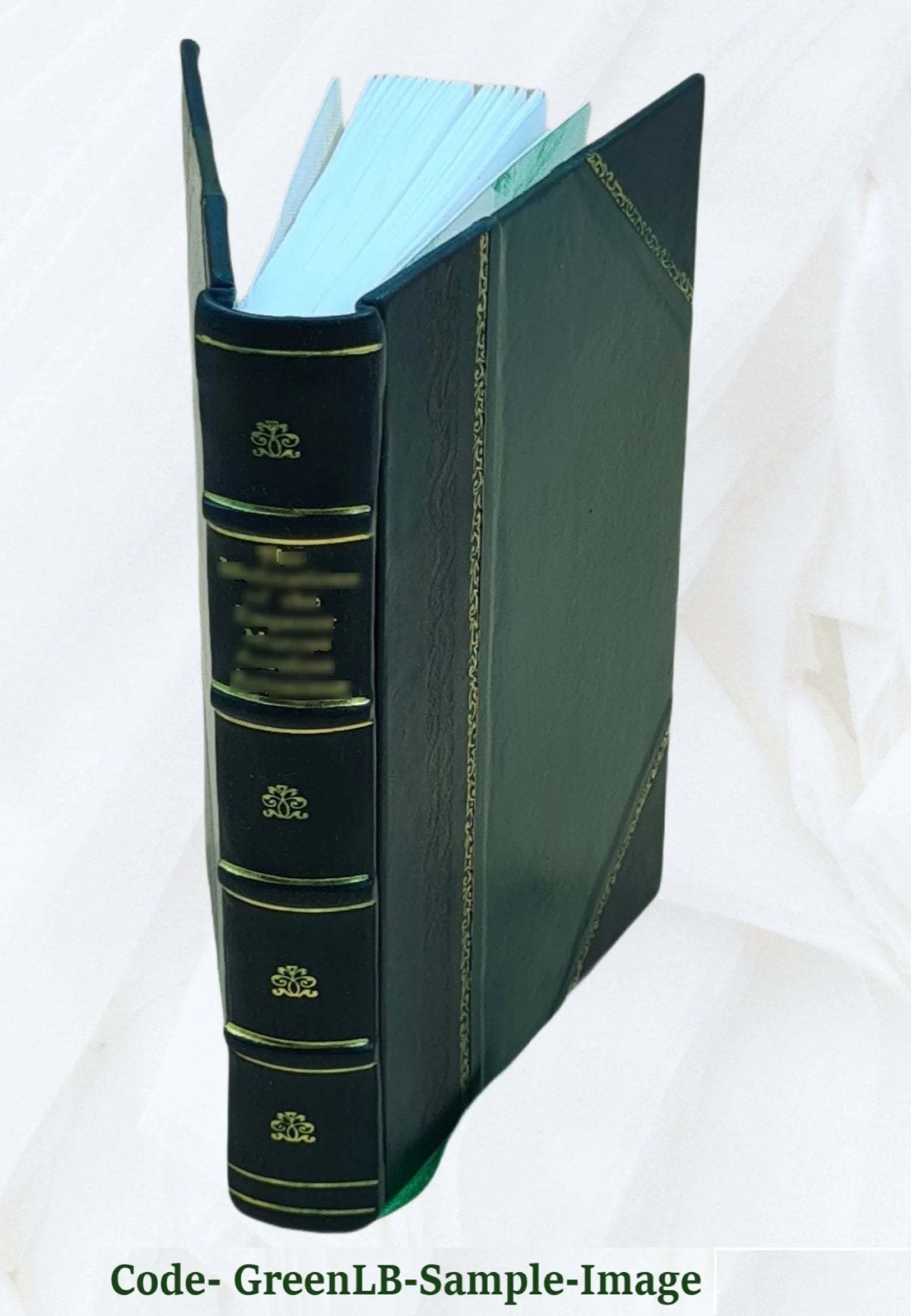 Leather Bound Fiction R664908