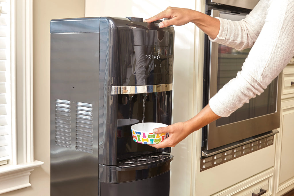 Black Bottom Loading Water Dispenser S7490