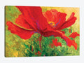 Red Poppy Canvas Art V6787