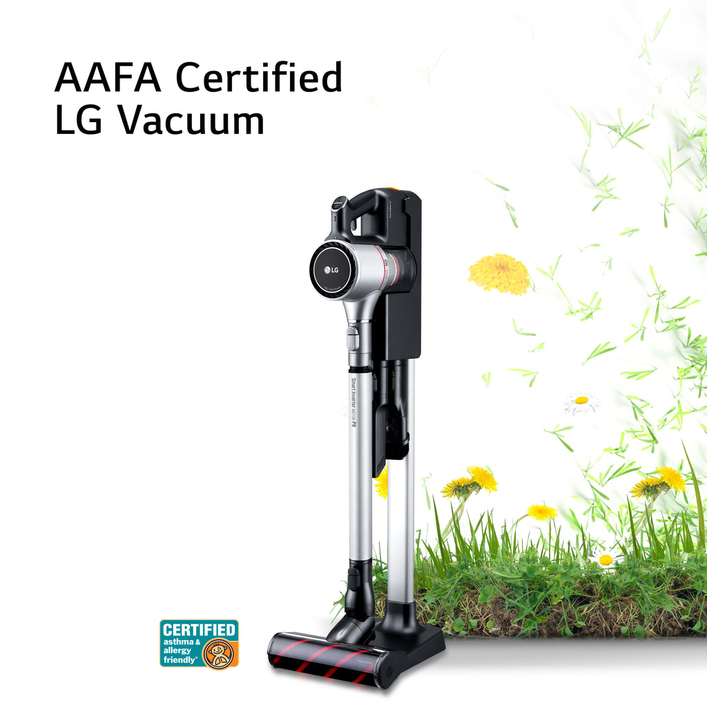 Matte Silver Cordless Stick Vacuum E220