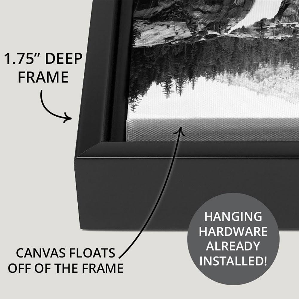 Black Float Frame Canvas Art - 30 x 20 Q627