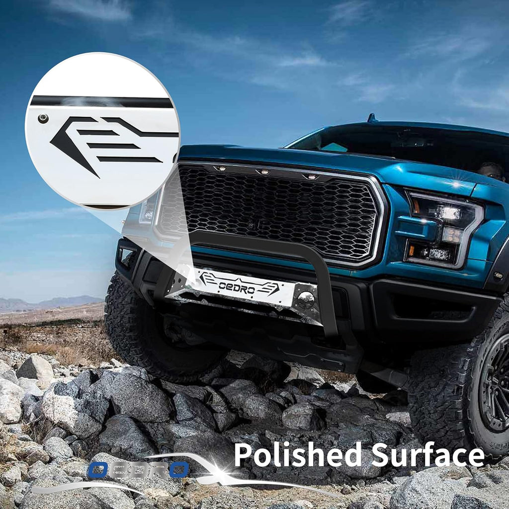 Chrome and Black Truck Brush Push Bumper Guard with Skid Plate Light Mount Y187