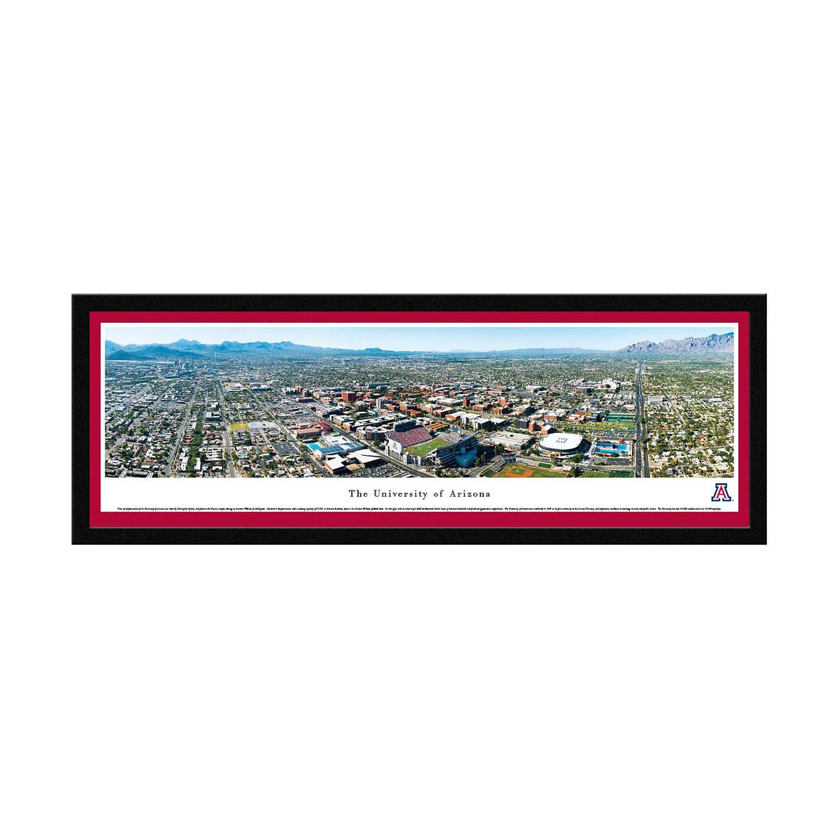 16x22 x 42x22 Select Frame Panoramic Photo I698