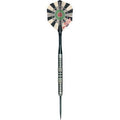 Steel Tip Darts with Case, 26 Grams E981824