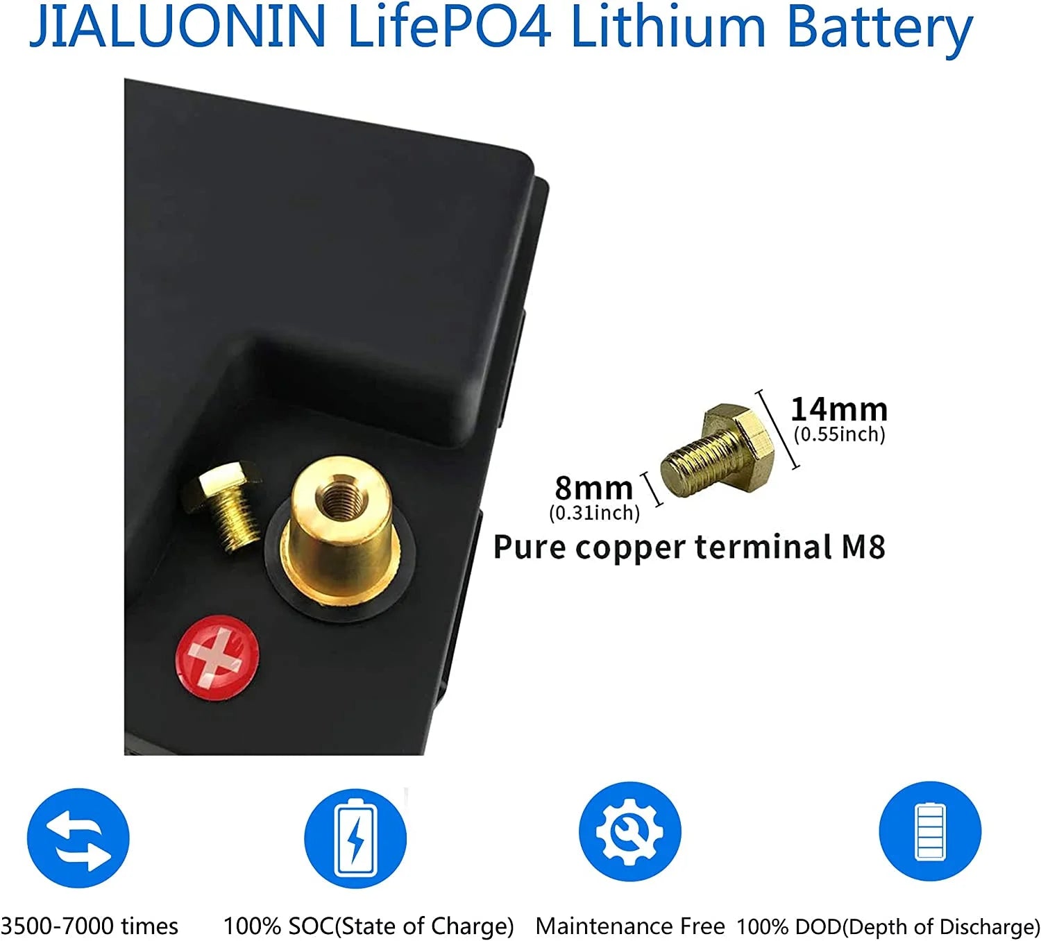 LiFePO4 Battery 12V 100Ah Lithium Iron Phosphate Battery with Built-in BMS F3951