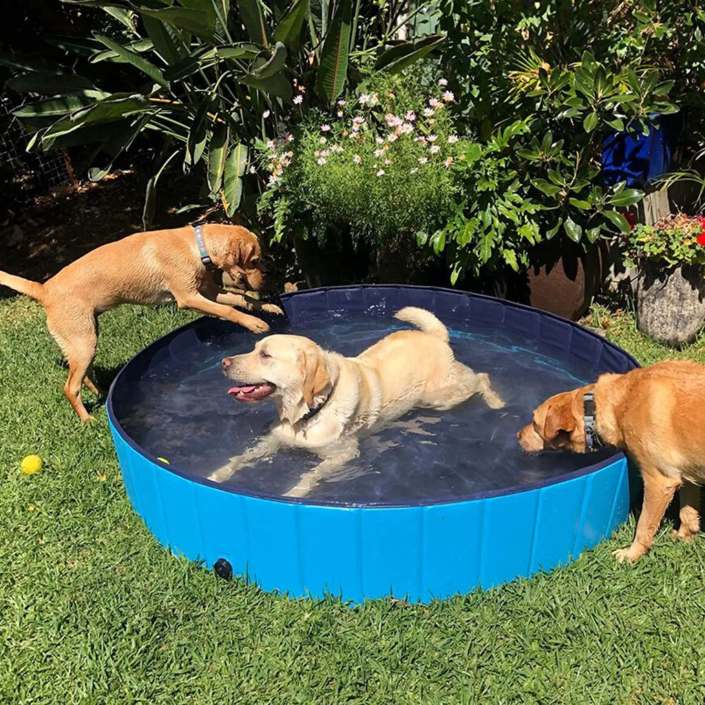 Blue L (63") Foldable PVC Pet Dog Pool E11267