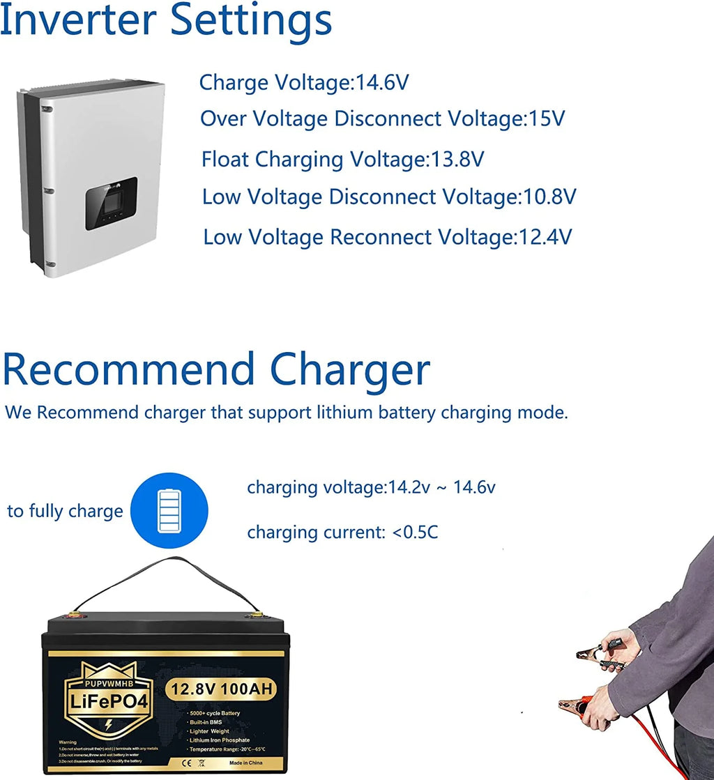 LiFePO4 Battery 12V 100Ah Lithium Iron Phosphate Battery with Built-in BMS F3951