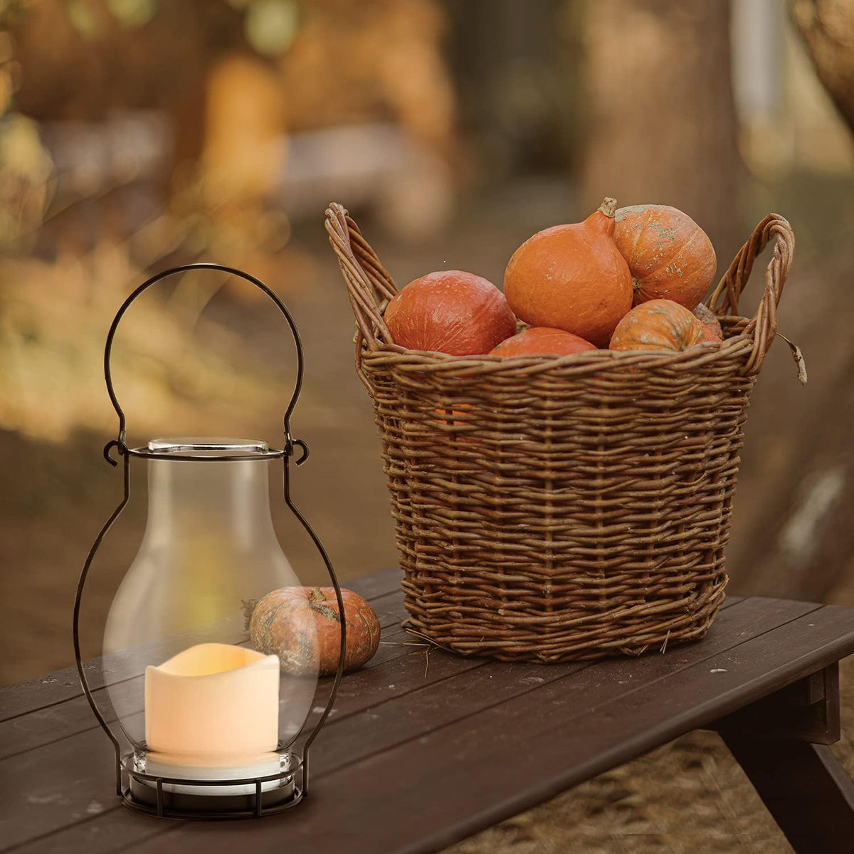 Black Metal Glass Solar LED Lanterns, 10.5 Inch, Warm White, Waterproof X744390