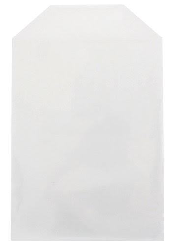 2000 Cpp Clear Plastic Sleeve with Flap 80g L42181