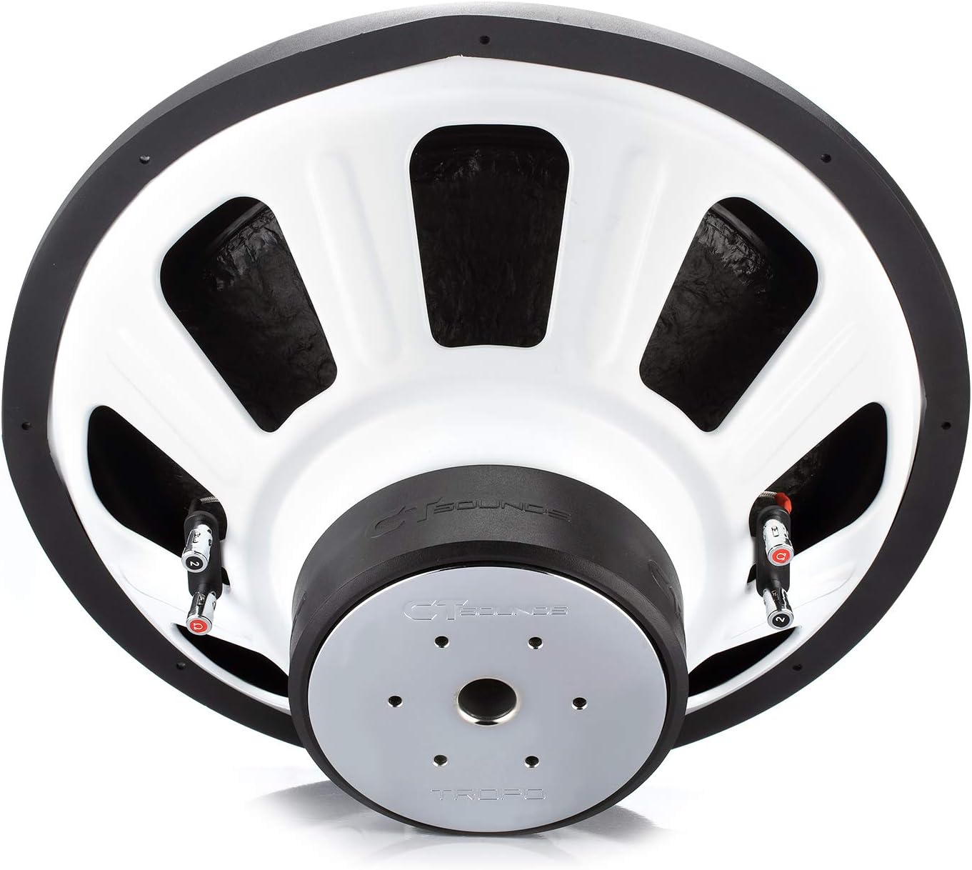 18 Inch Car Subwoofer Dual 2 Ohm P50741