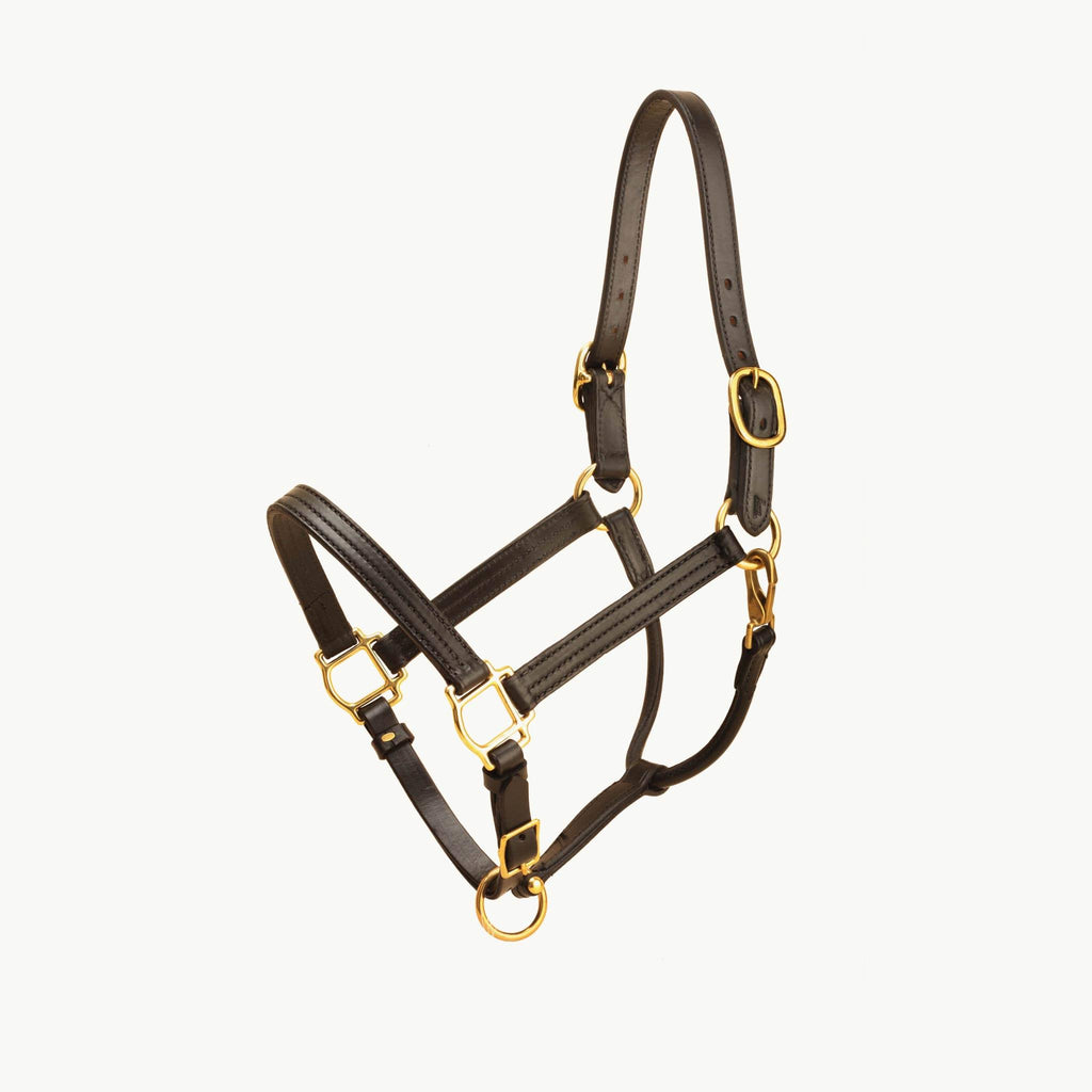 Leather Halter with Brass Hardware F165