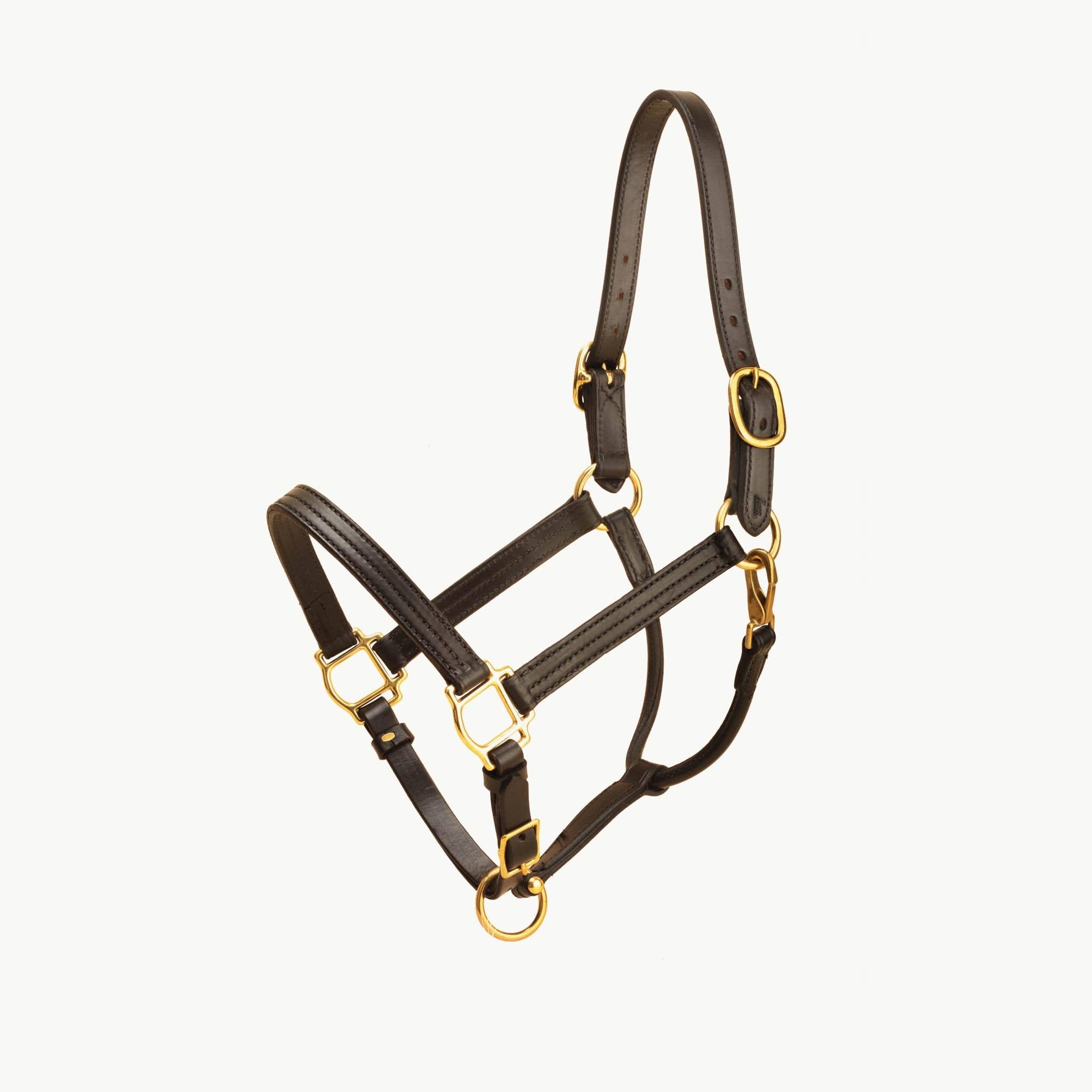 Leather Halter with Brass Hardware F165