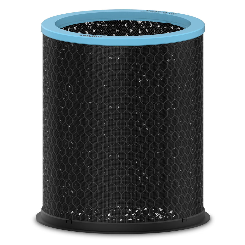 Replacement Carbon Filter for TruSens Large Allergy & Flu Filter, 1 Pack W56976