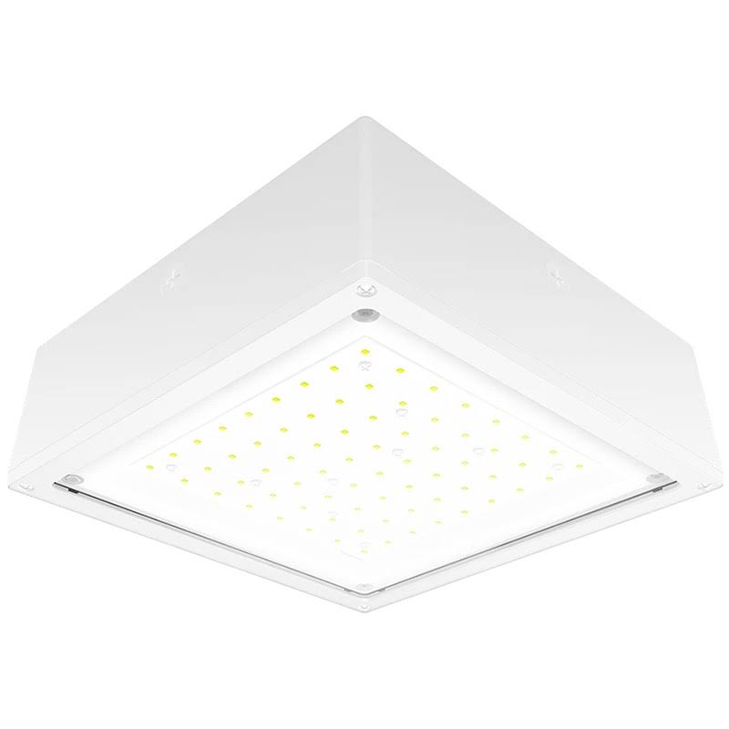 Vandalproof Canopy 20W Warm LED Flat Lens White U713