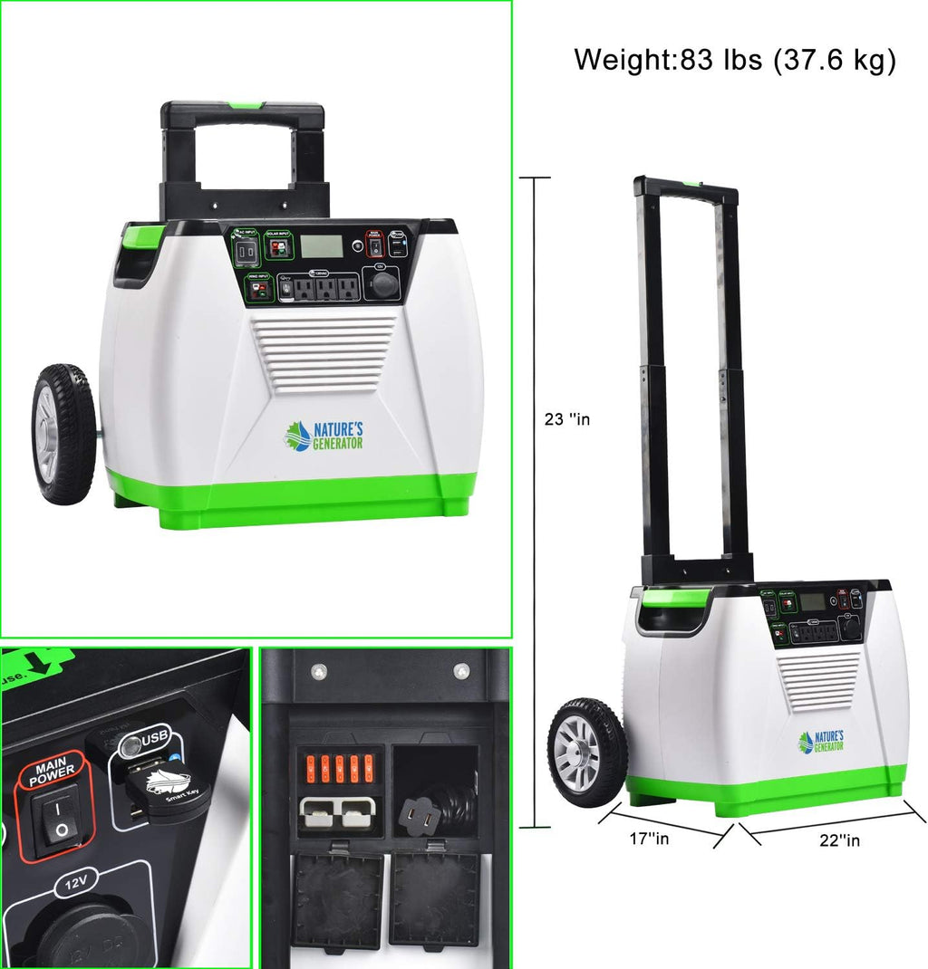 1800W Pure Sine Wave Off-Grid Generator + 100W Solar Panel E1845