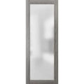 Frosted Glass Door Slab 36 x 96 Wood Panel C42252