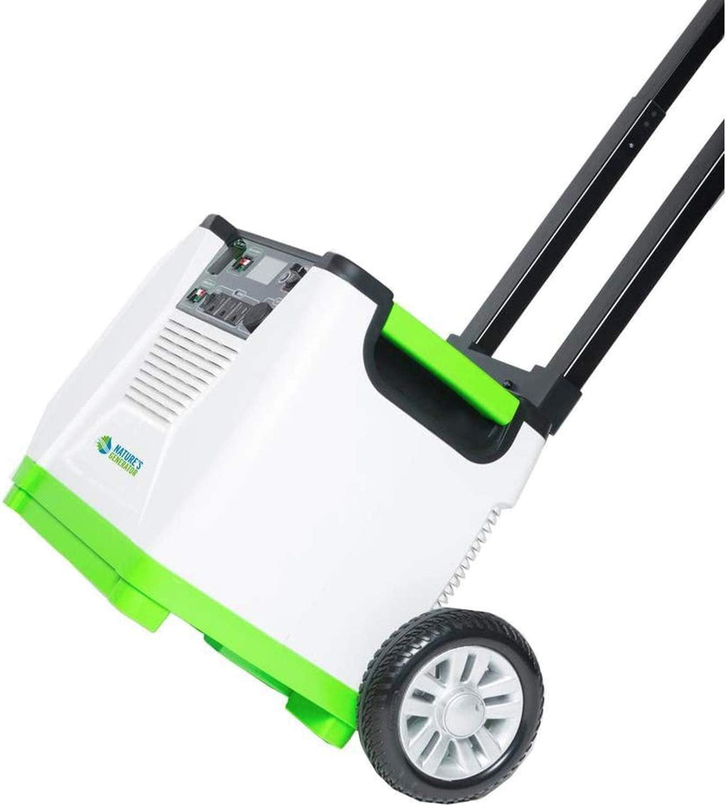 1800W Pure Sine Wave Off-Grid Generator + 100W Solar Panel E1845