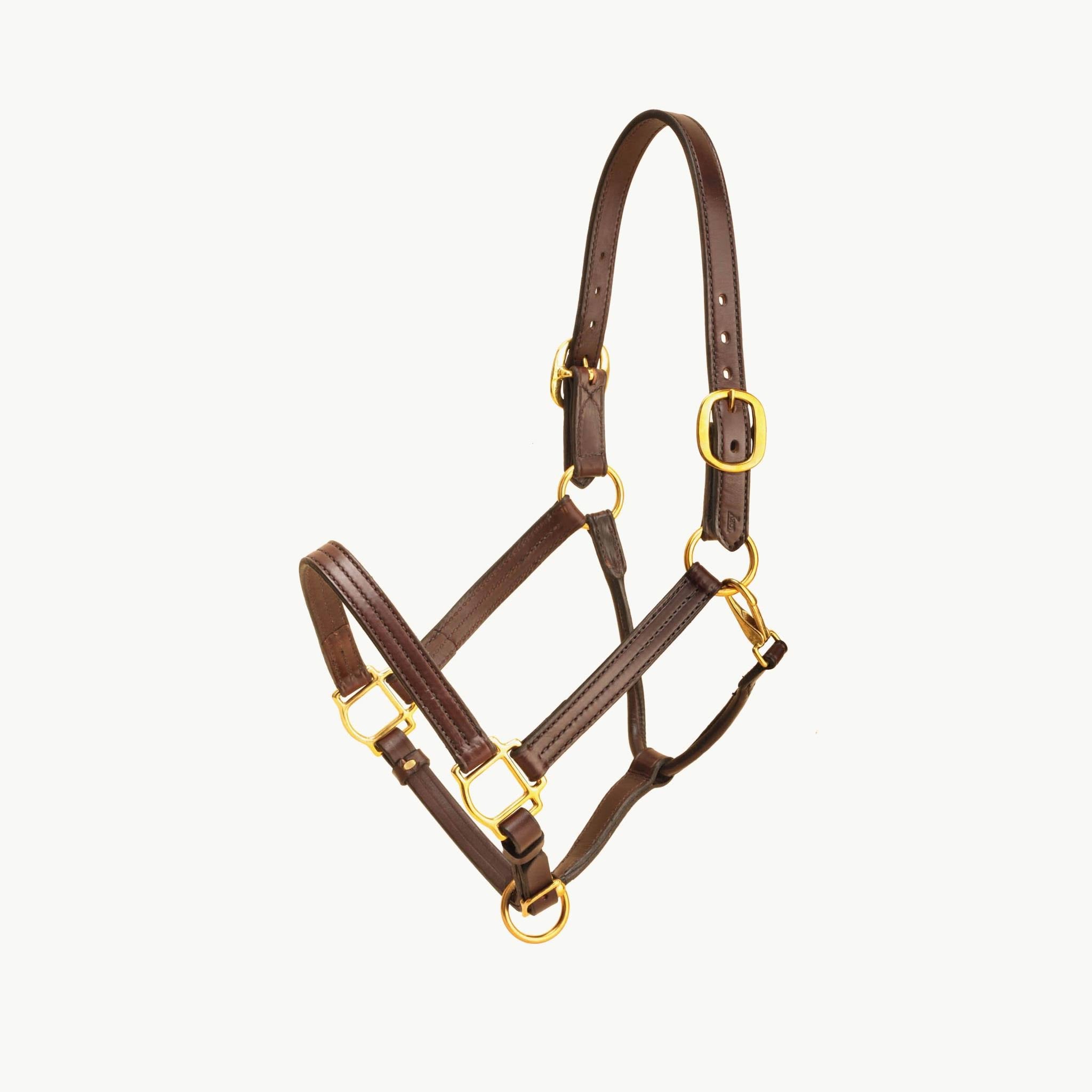 Leather Halter with Brass Hardware F165