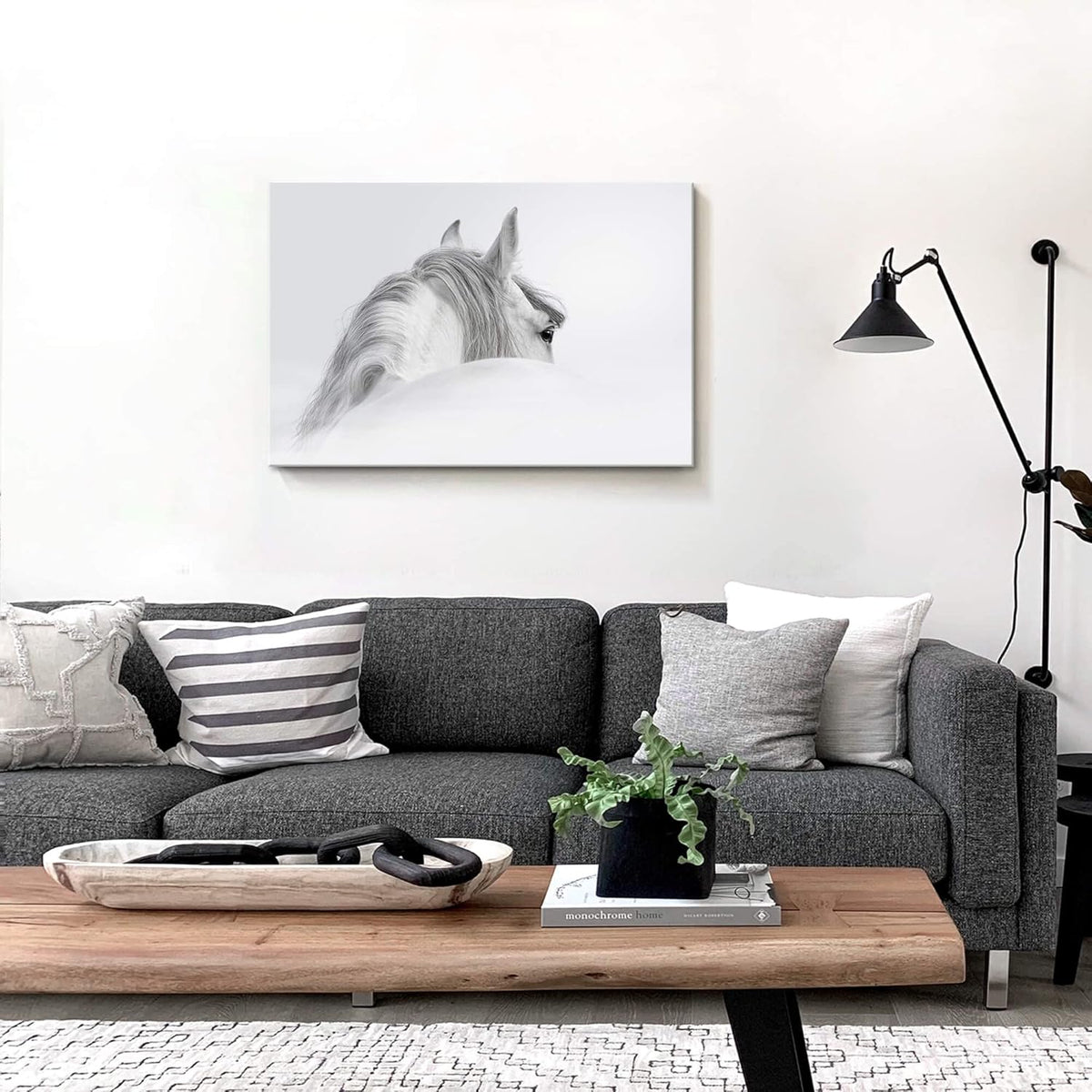 White Pony Equestrian Canvas Wall Art A12173