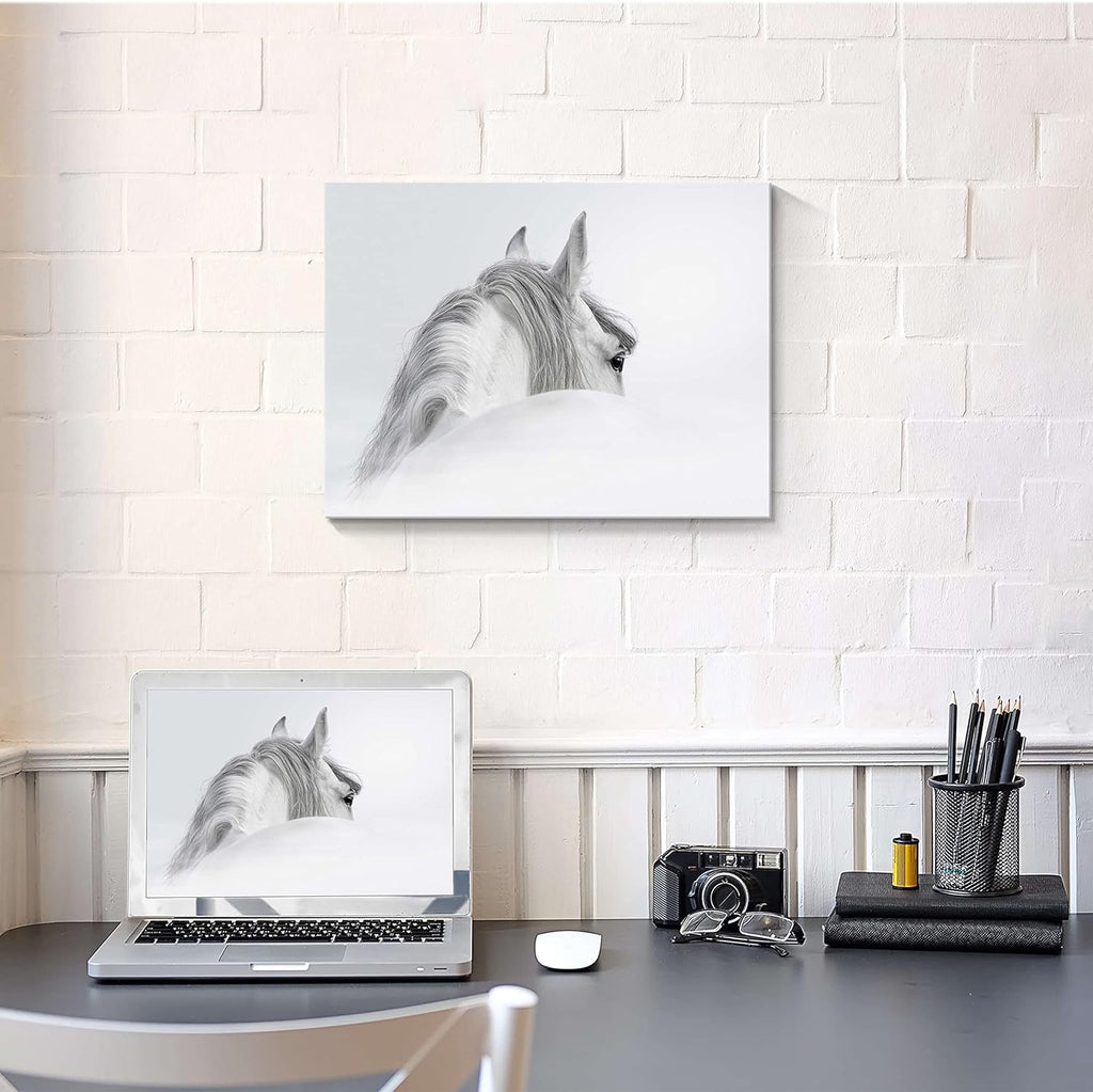 White Pony Equestrian Canvas Wall Art A12173