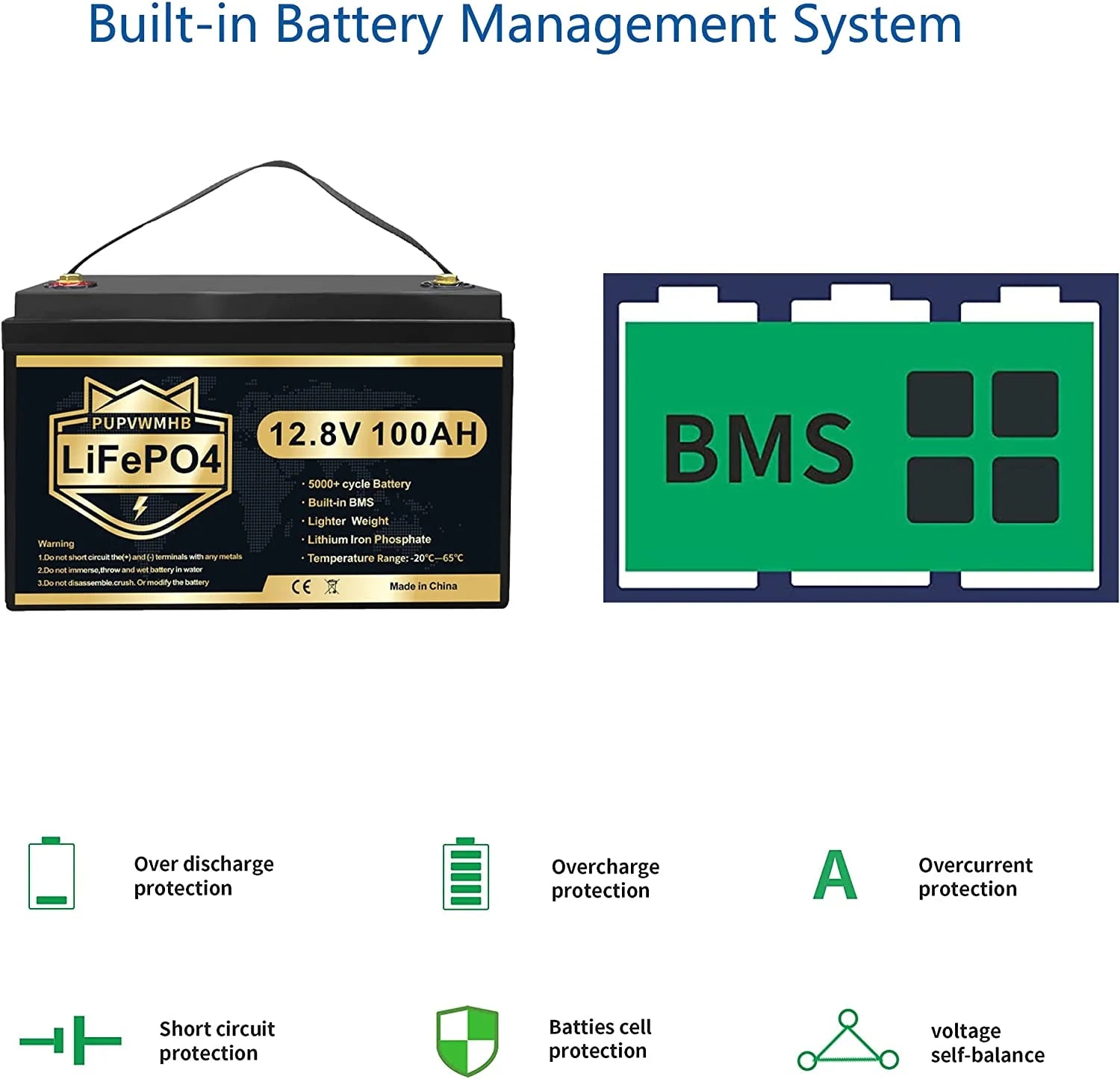 LiFePO4 Battery 12V 100Ah Lithium Iron Phosphate Battery with Built-in BMS F3951