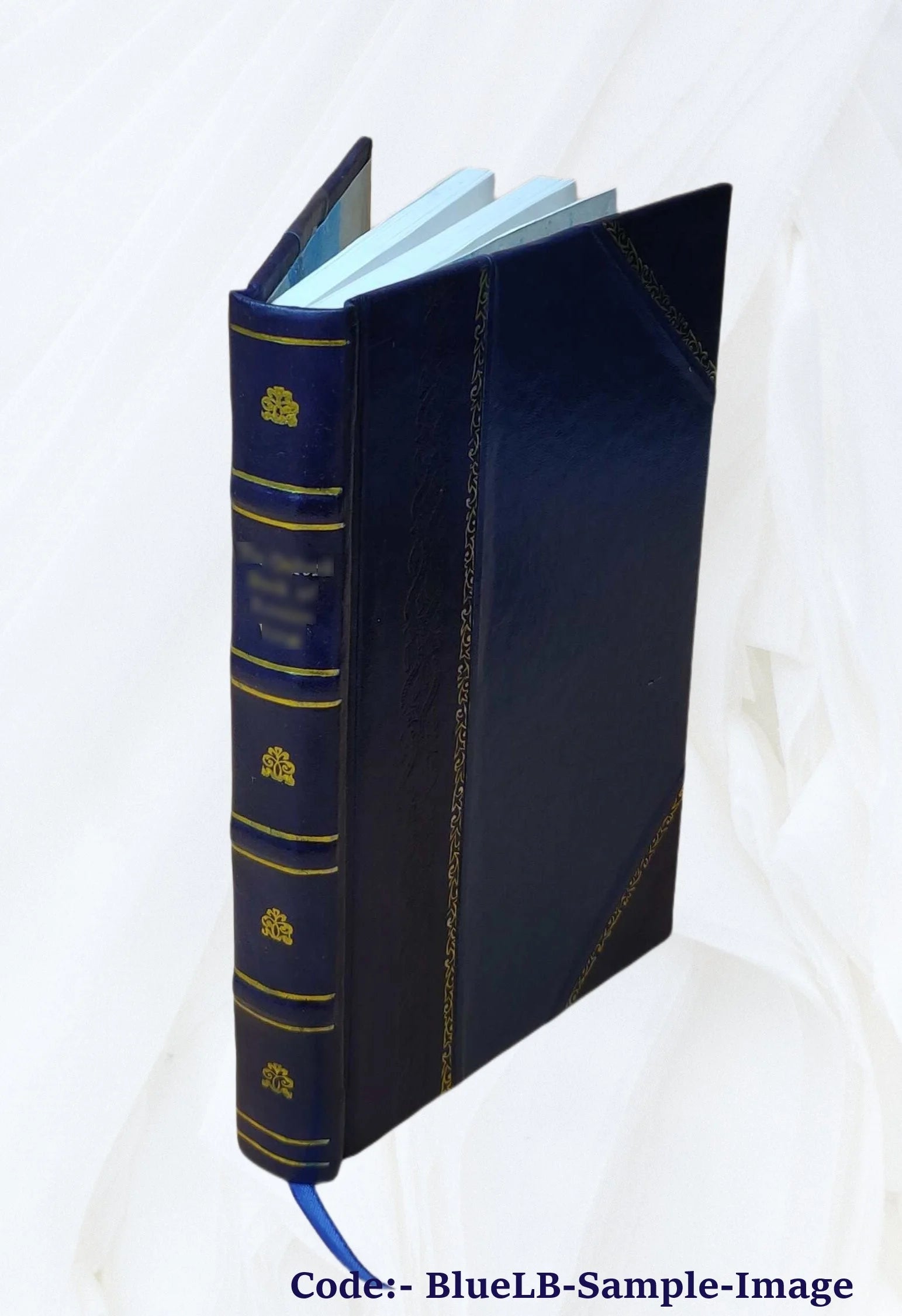 Leather Bound Fiction R664908
