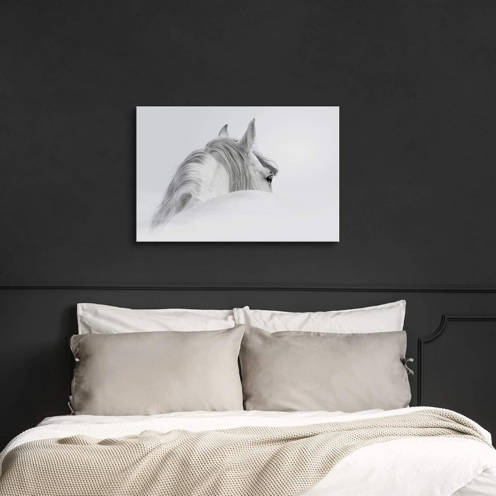 White Pony Equestrian Canvas Wall Art A12173