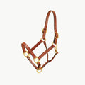 Leather Halter with Brass Hardware F165