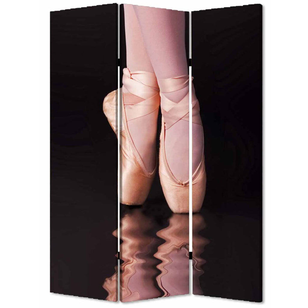 Multi Color Wood Canvas Ballet Screen O144