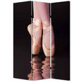 Multi Color Wood Canvas Ballet Screen O144