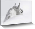 White Pony Equestrian Canvas Wall Art A12173