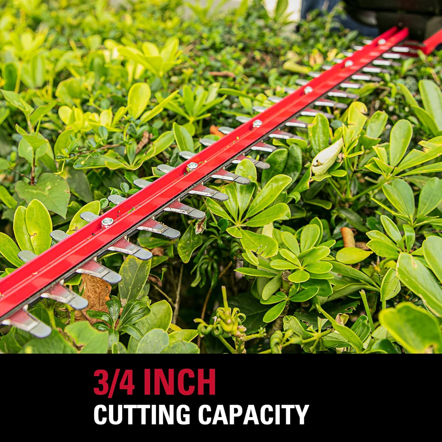 40V 24 Inch Cordless Hedge Trimmer with 2Ah Battery and Charger X59208