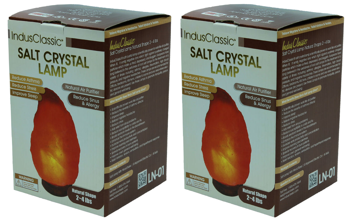 Natural Himalayan Crystal Rock Salt Lamp Set of 2 with Dimmable Control X259