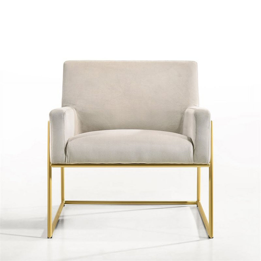 Steel & Velvet Upholstered Lounge Accent Chair in Abalone Gray N762384