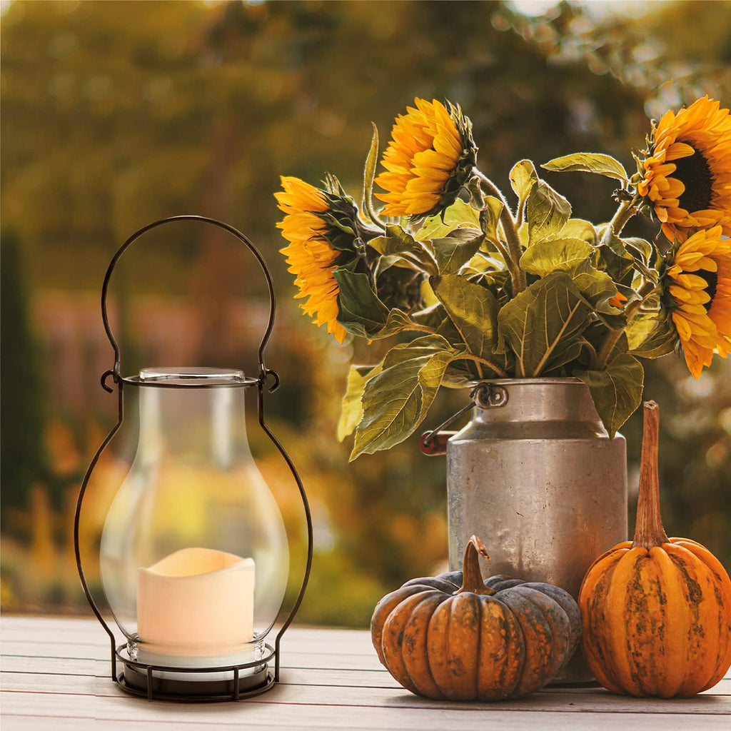 Black Metal Glass Solar LED Lanterns, 10.5 Inch, Warm White, Waterproof X744390