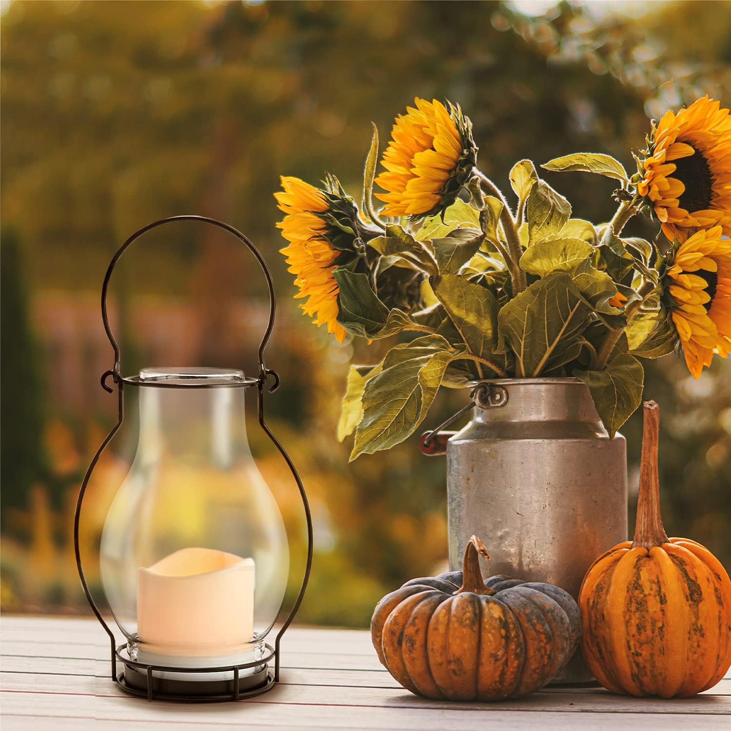 Black Metal Glass Solar LED Lanterns, 10.5 Inch, Warm White, Waterproof X744390