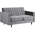 Grey Velvet Loveseat D273