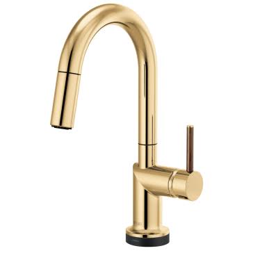 Polished Gold Kitchen Faucet N769274