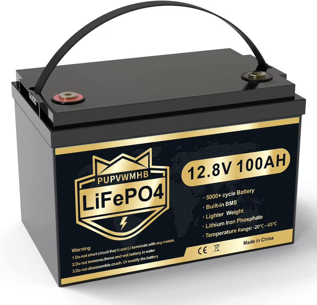 LiFePO4 Battery 12V 100Ah Lithium Iron Phosphate Battery with Built-in BMS F3951