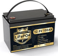LiFePO4 Battery 12V 100Ah Lithium Iron Phosphate Battery with Built-in BMS F3951