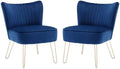 Velvet Accent Chairs with Golden U-Shape Legs N5293