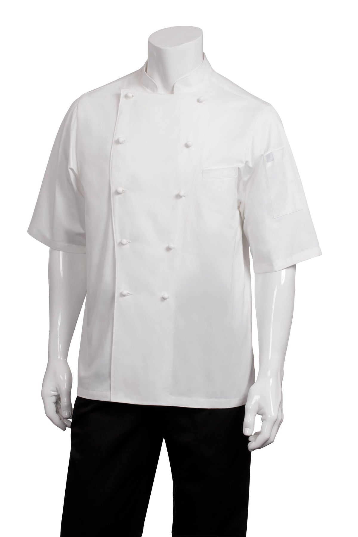 Chef Coat 42 T206