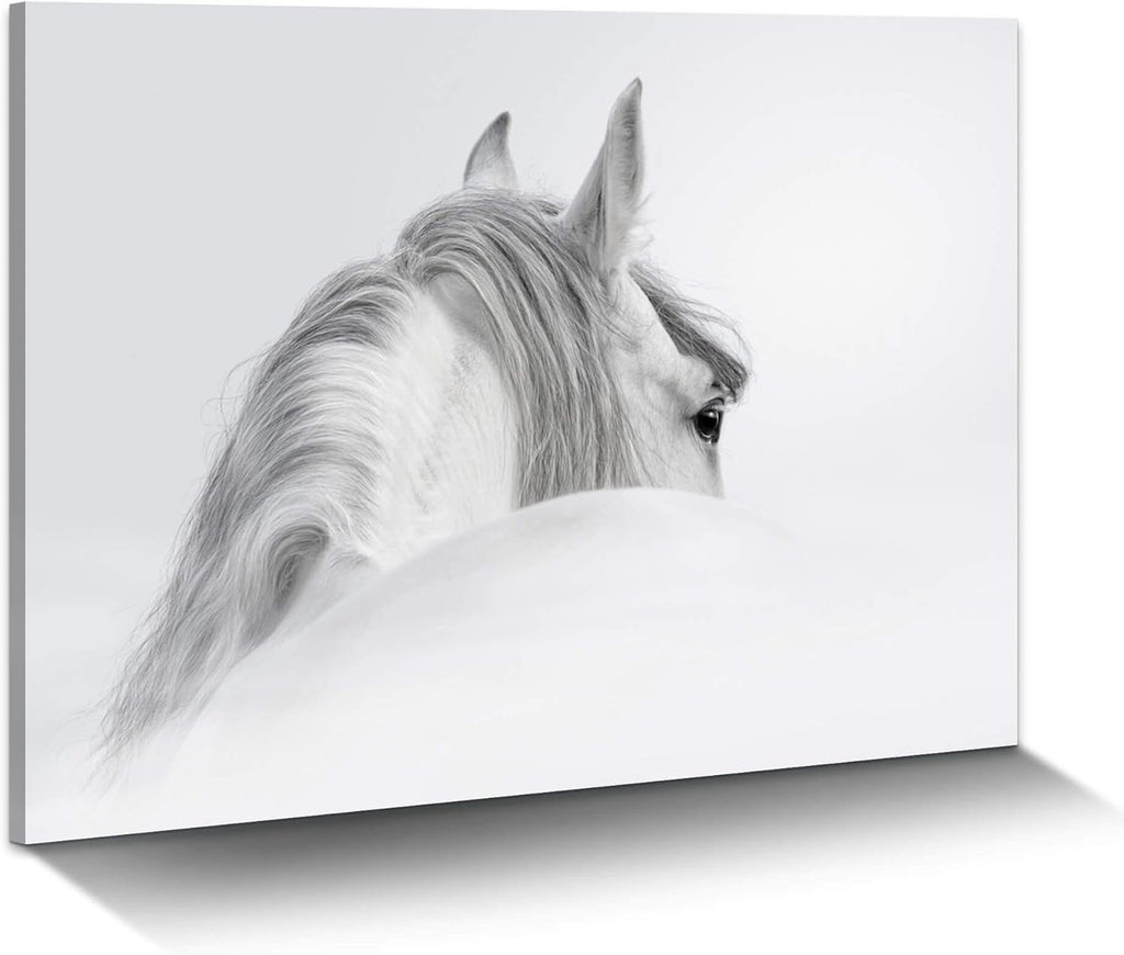 White Pony Equestrian Canvas Wall Art A12173