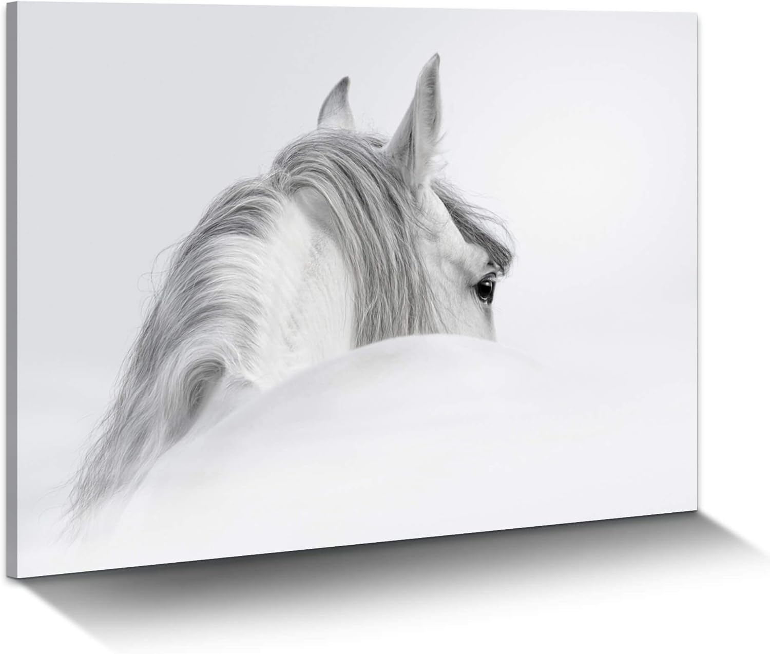 White Pony Equestrian Canvas Wall Art A12173