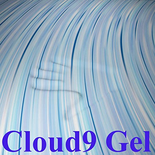 Queen 2 inch Gel Memory Foam Mattress Topper D765