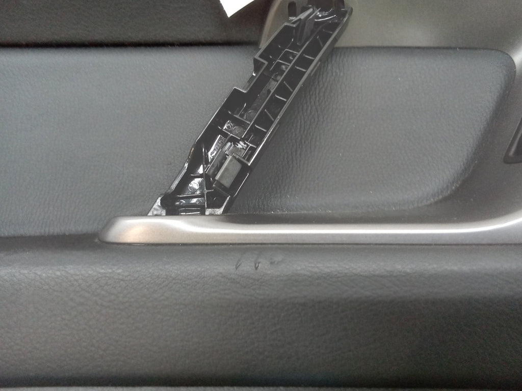 Rear Left Door Trim Panel Z254