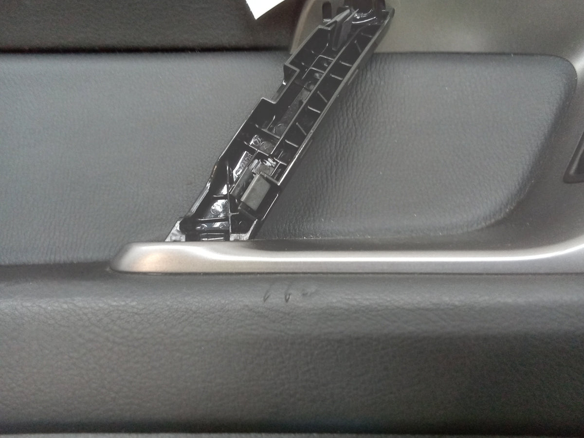 Rear Left Door Trim Panel Z254