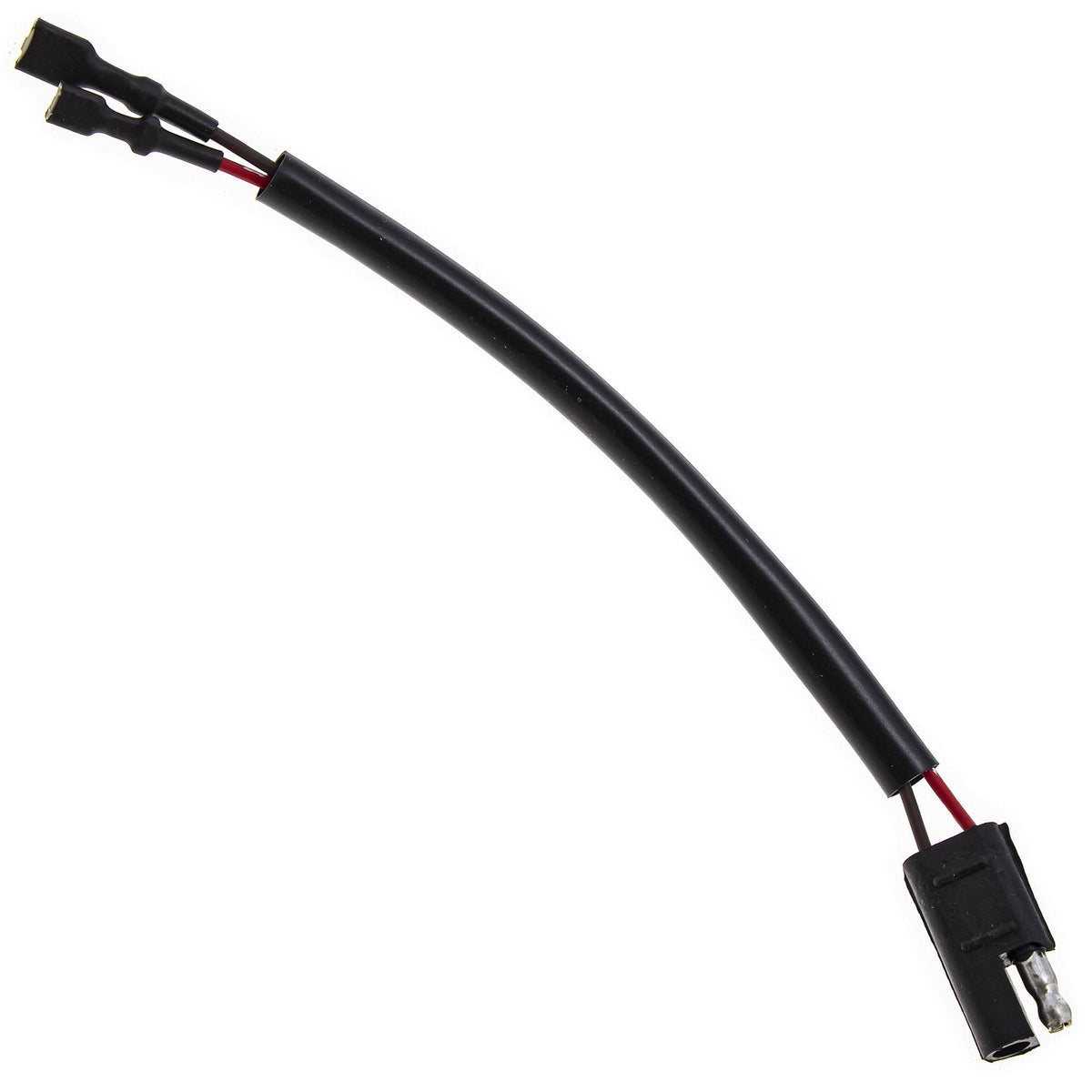 12 Volt RCA Plug Outlet Q171499